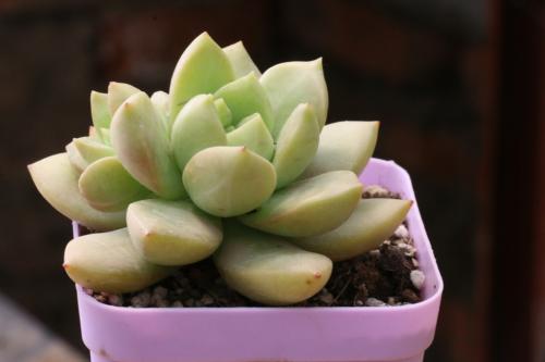 ƴӻˡȫ򡱵ҽơ족 ߾ҵ