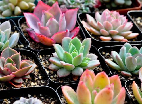 һ980!֣ݾһСթƭŻ